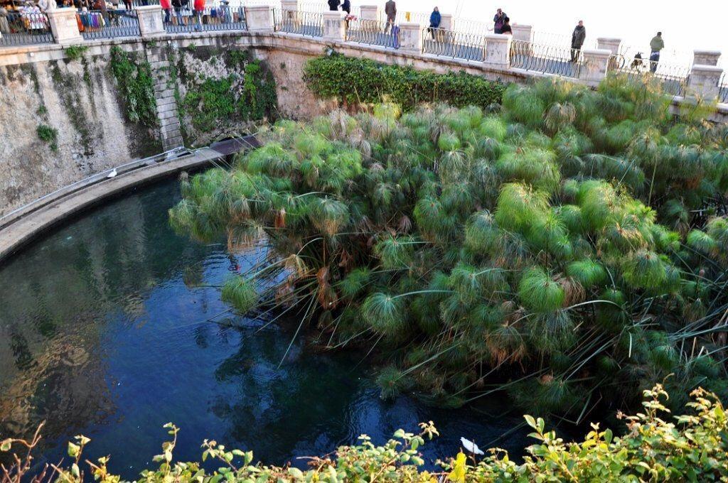 Siracusa Vacanze Syracuse ห้อง รูปภาพ